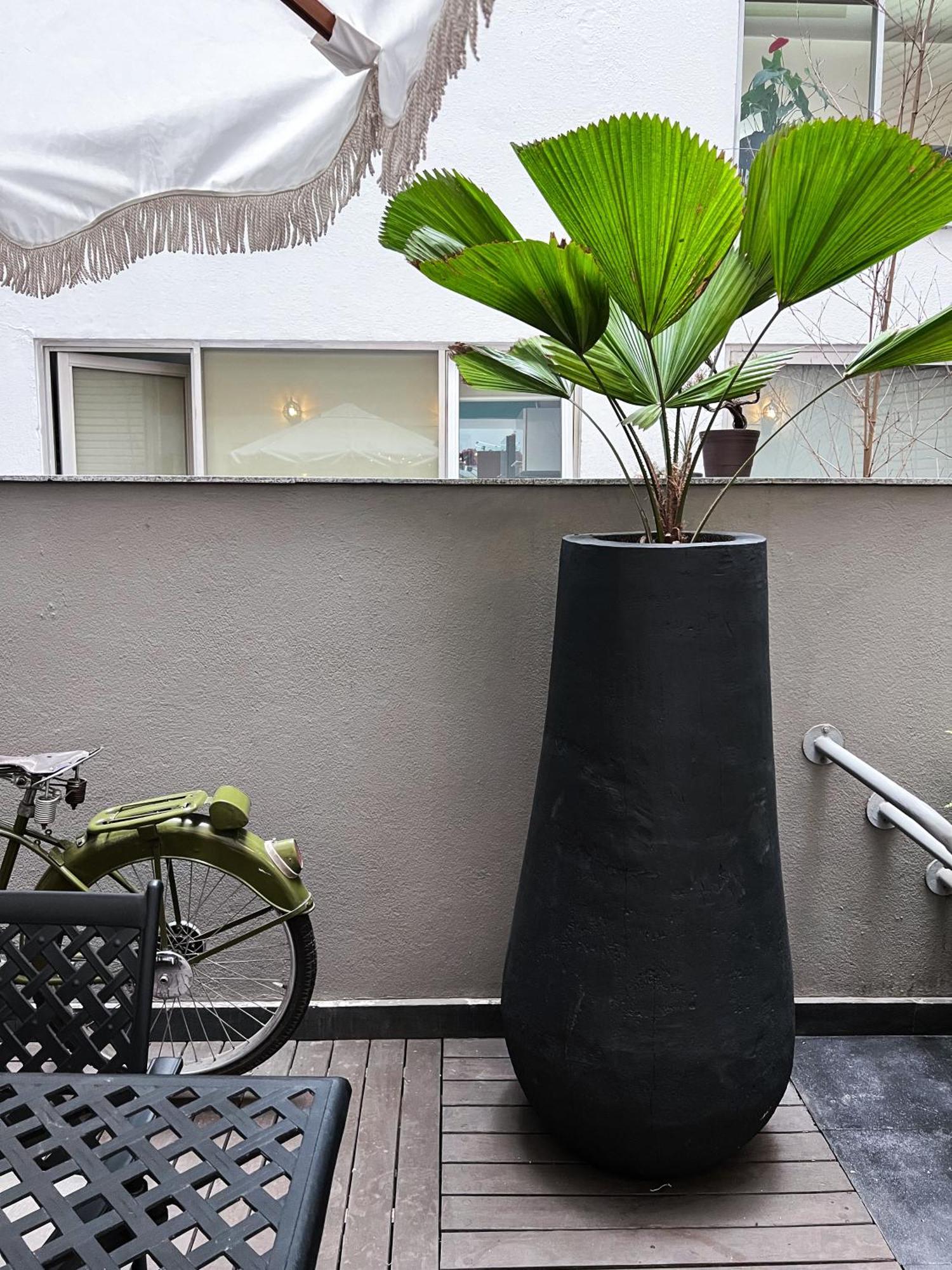 מקסיקו סיטי Central Park Condesa מראה חיצוני תמונה